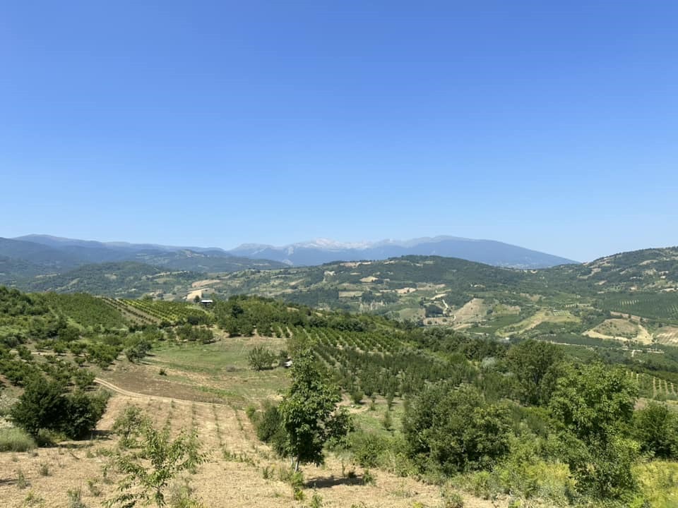 Fotoğraf