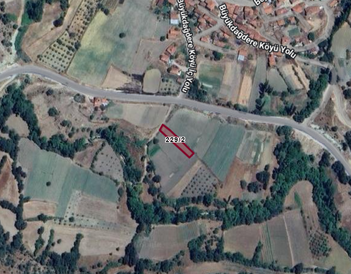 Fotoğraf