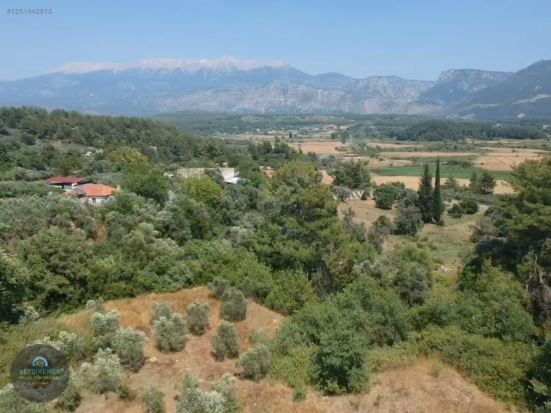 İlan Fotoğrafı
