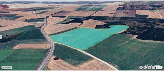 Nilüfer Çatalağıl'da Asfalta Cephe Satılık 41 Dönüm Kıymetli Ara