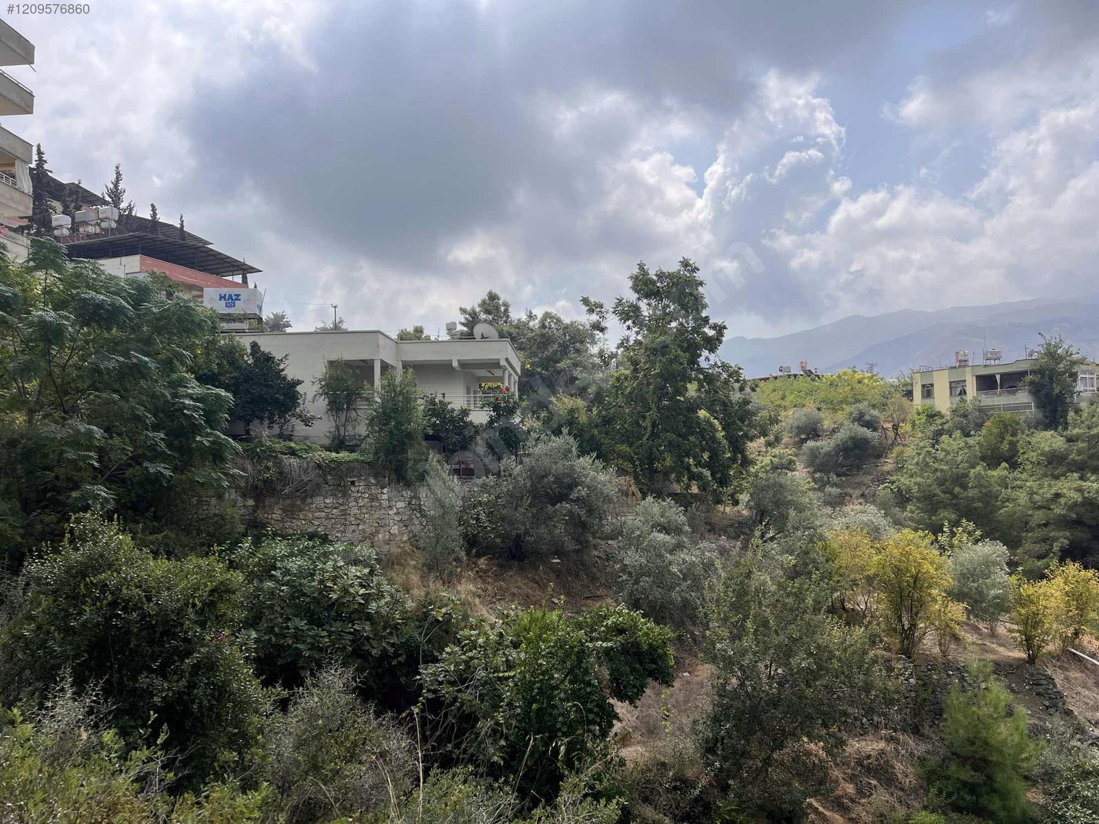Fotoğraf