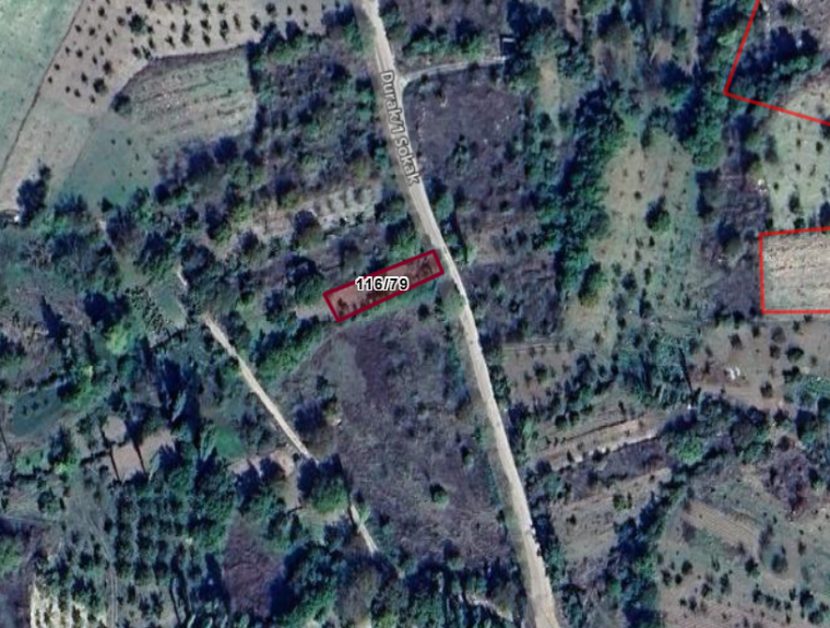 Fotoğraf