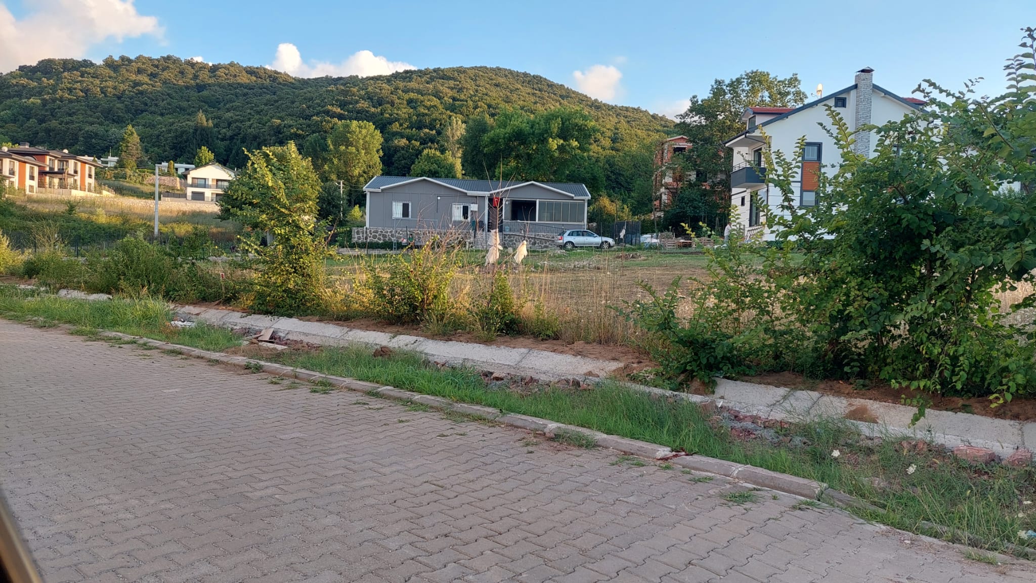 Fotoğraf