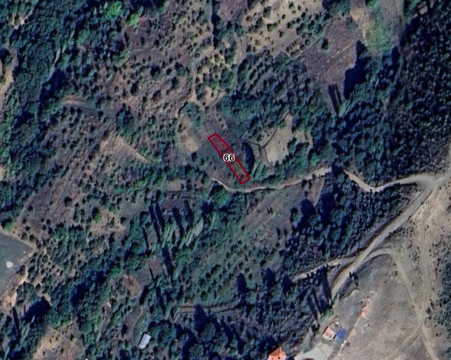 Fotoğraf