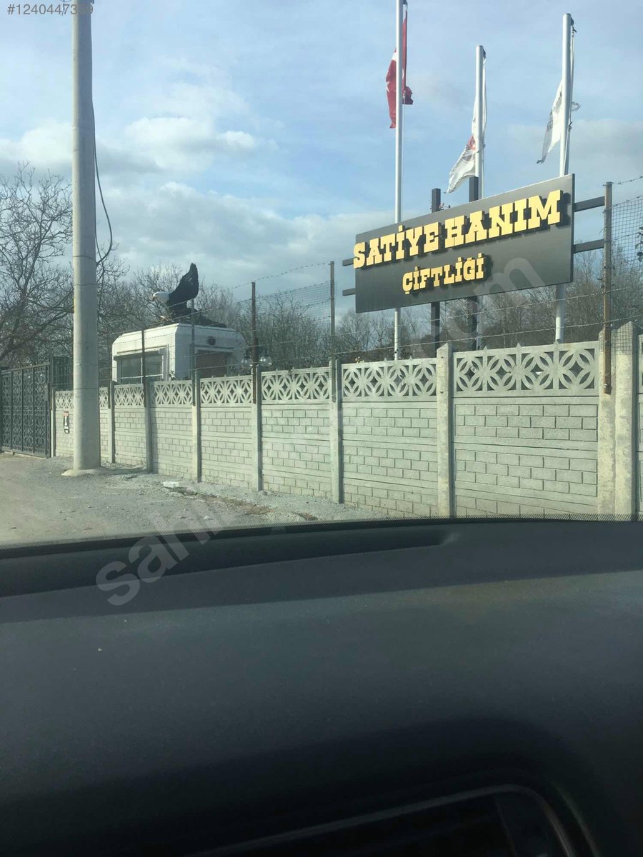Fotoğraf