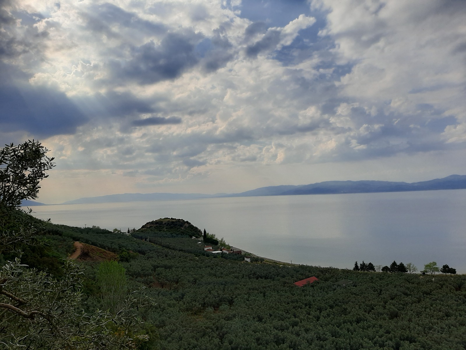 Fotoğraf