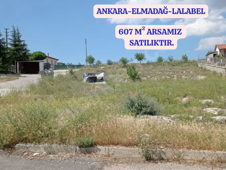 Fotoğraf