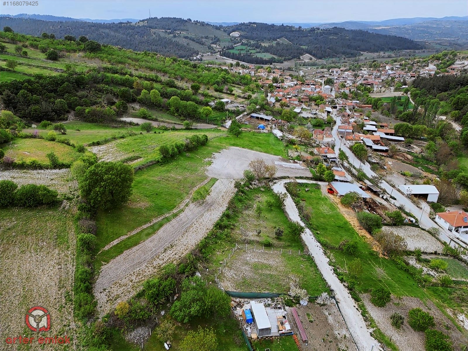 Fotoğraf