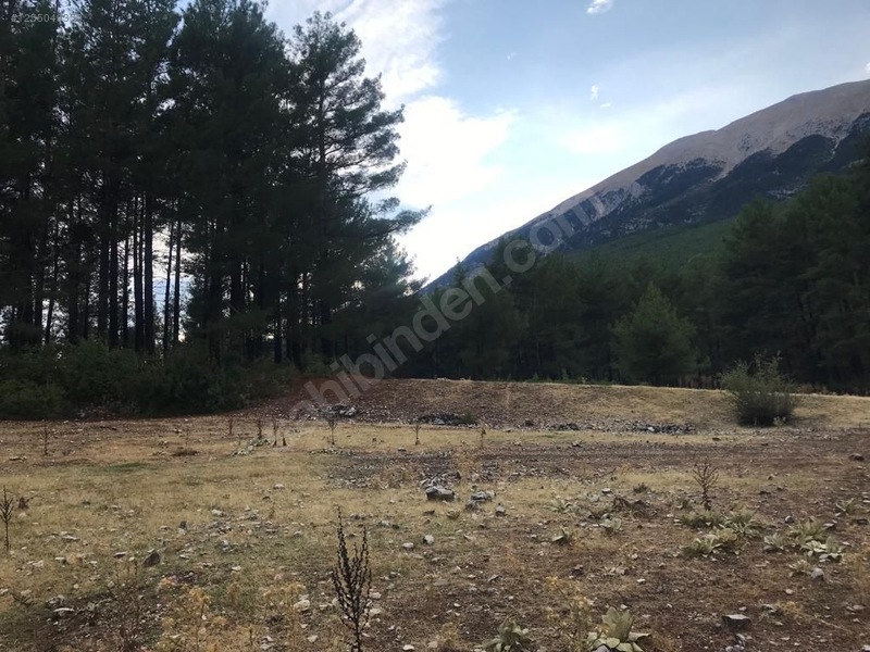 Fotoğraf