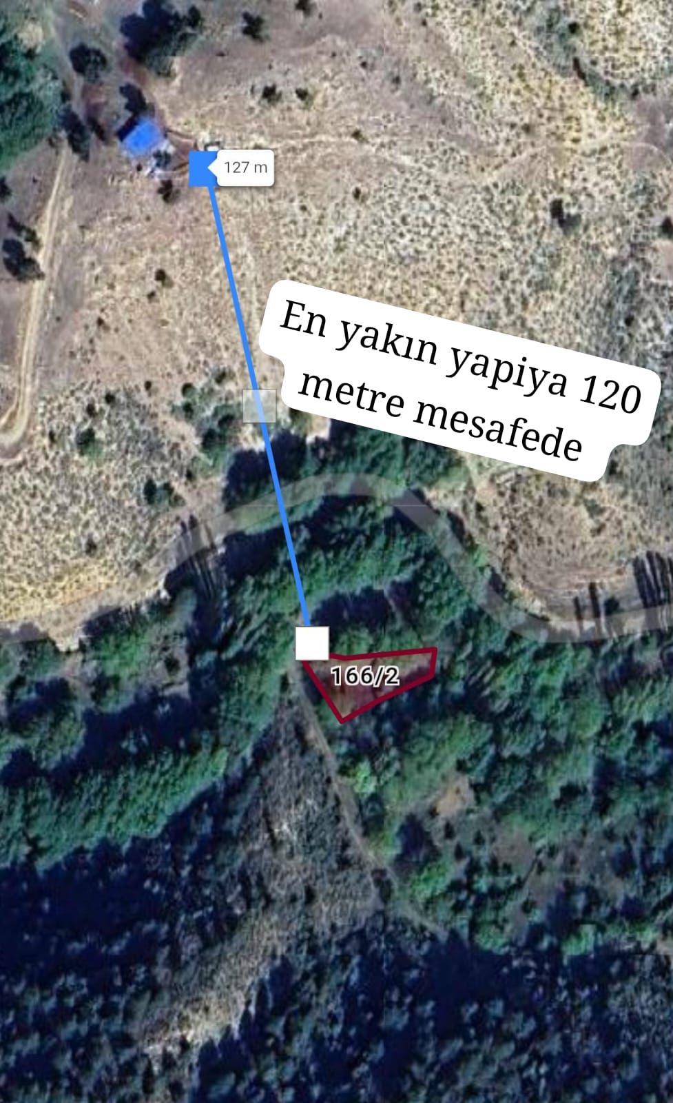 Fotoğraf
