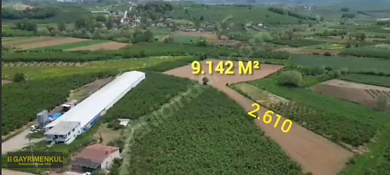 11.752 M² FIRSAT FINDIK BAHÇESİ SAKARYA KAYNARCA ZİAHMET MAH.