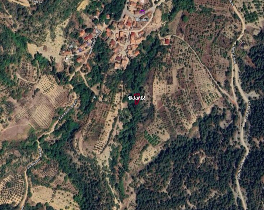 Fotoğraf