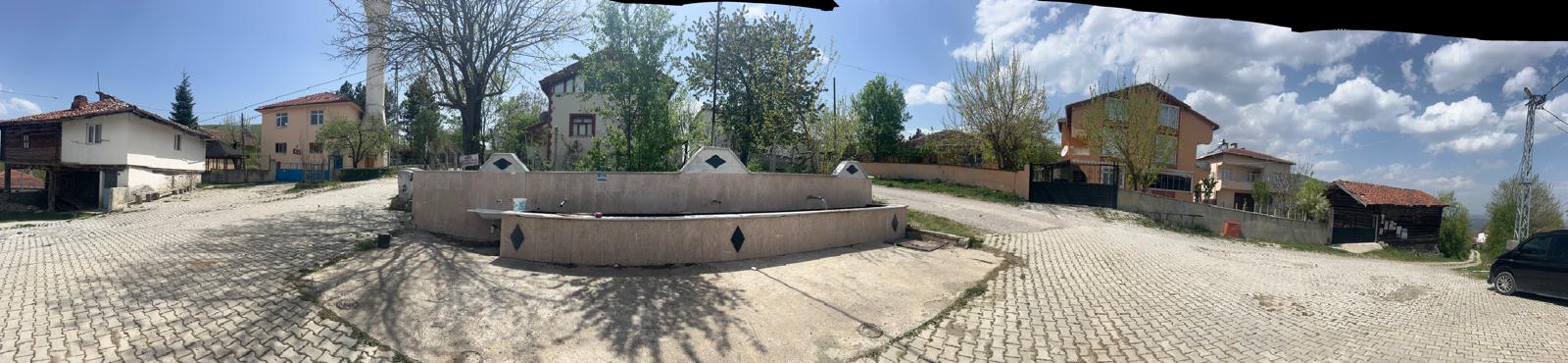 Fotoğraf
