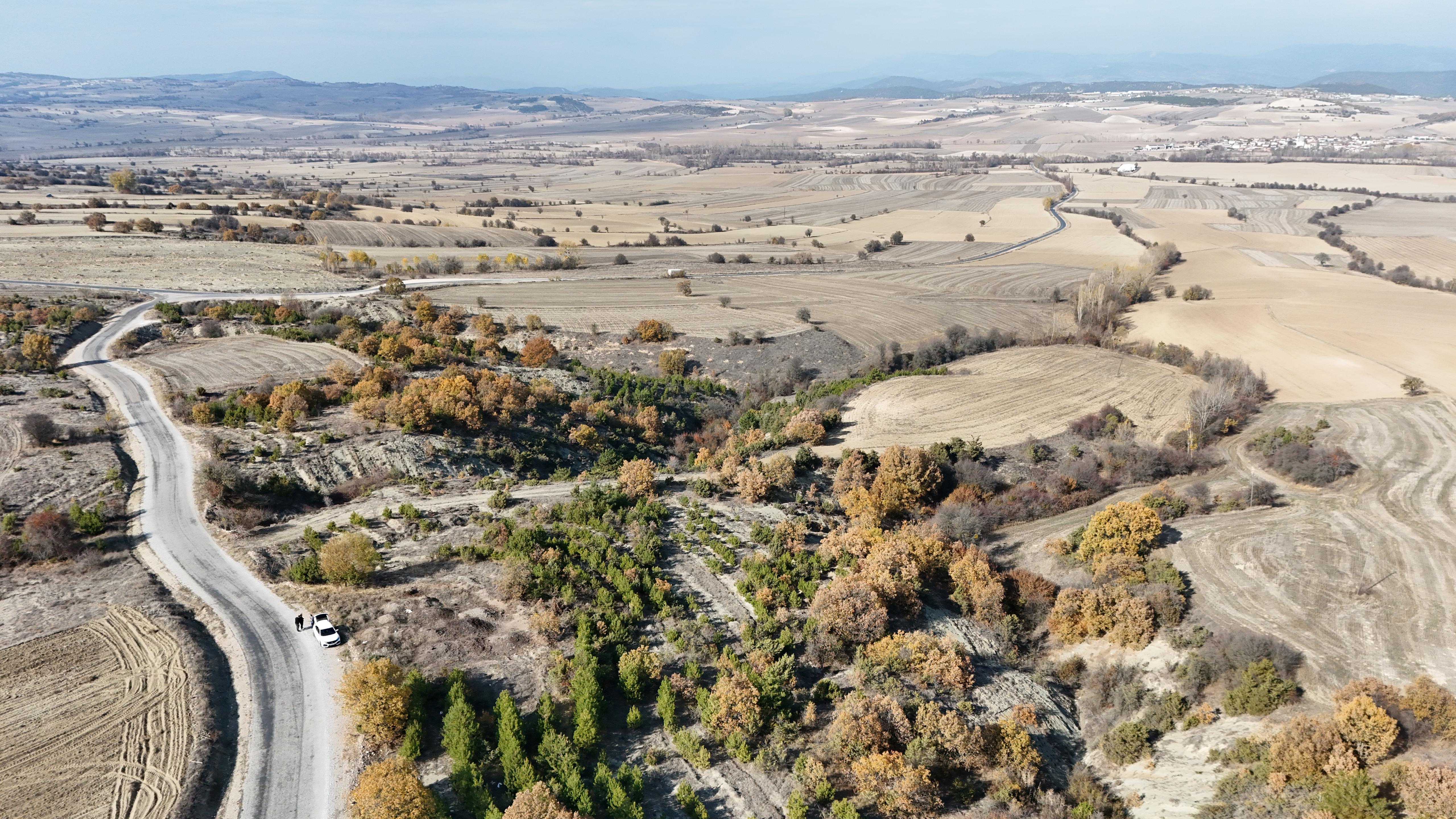 Fotoğraf