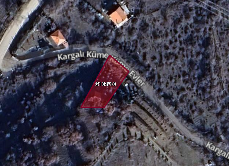 Fotoğraf