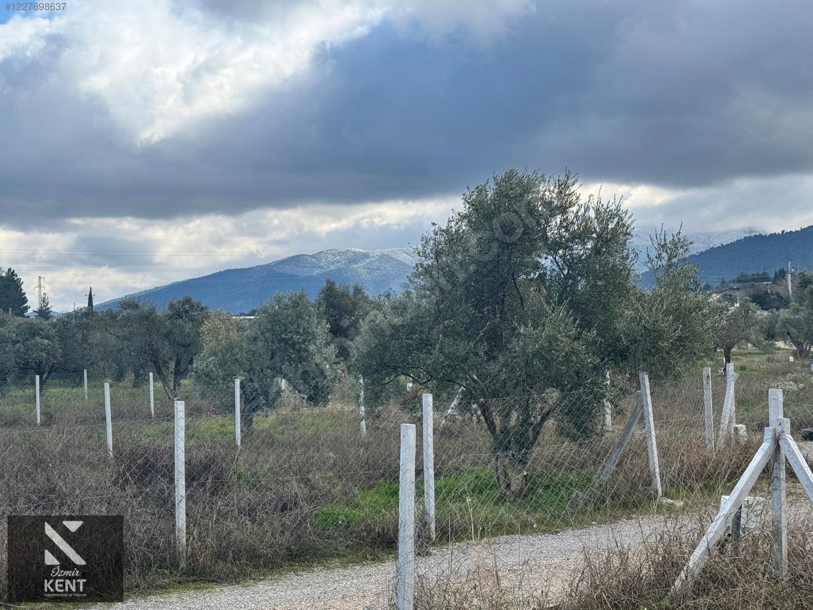 Fotoğraf