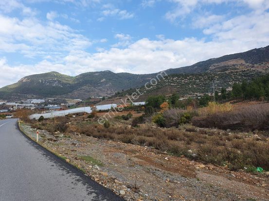 İlan Fotoğrafı