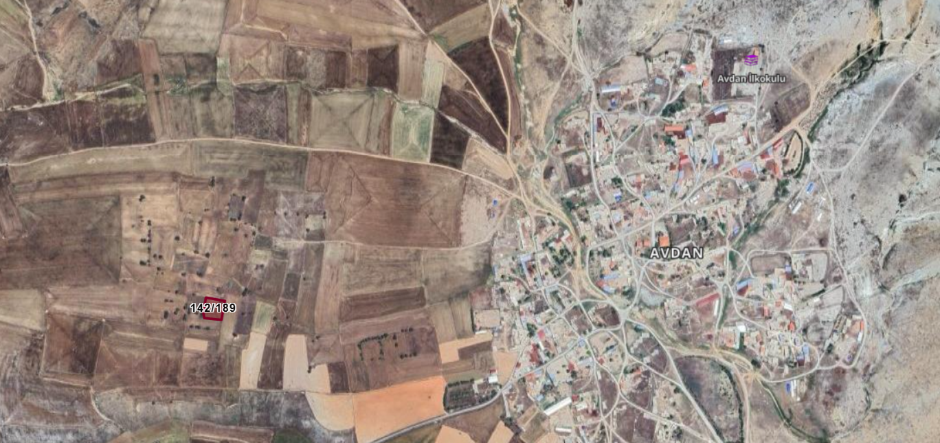 Fotoğraf