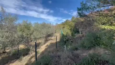 Fotoğraf