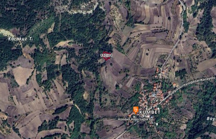 Fotoğraf
