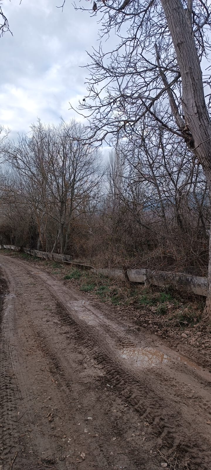Fotoğraf