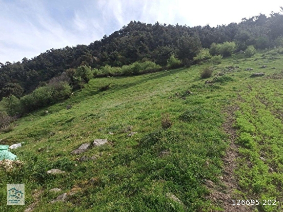 İlan Fotoğrafı