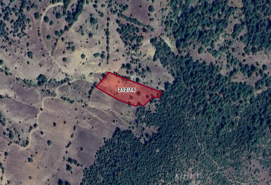 KÜTAHYA TAVŞANLI ÇINARCIK  KÖYÜNDE 7.032 M²  TARLA  SATILIKTIR