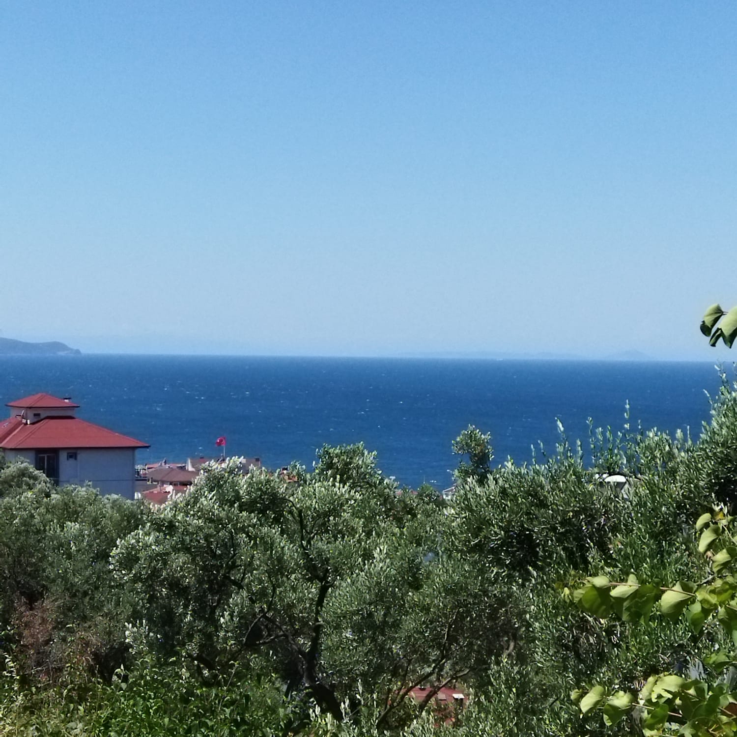 Fotoğraf