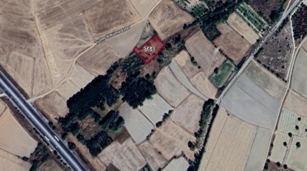 Fotoğraf