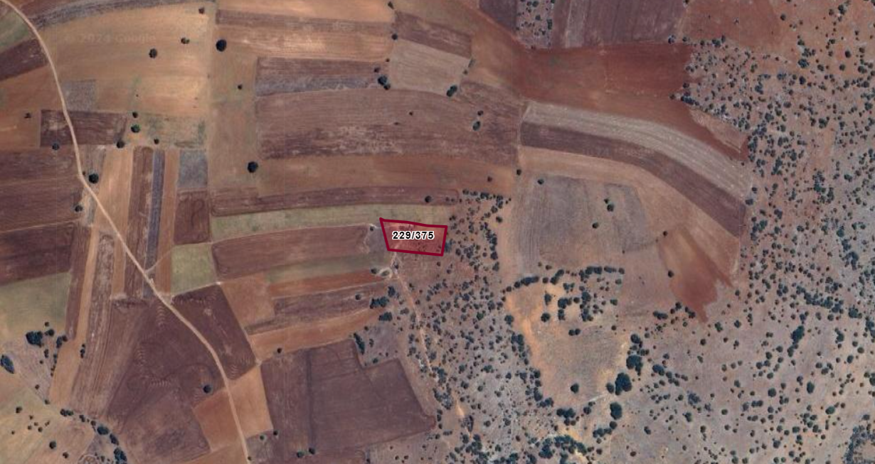 Fotoğraf