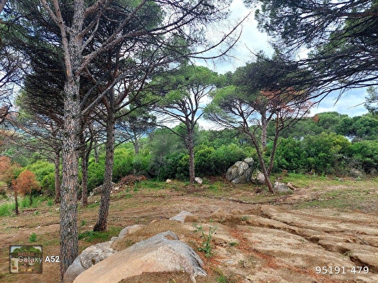 BERGAMA KOZAK YAYLASI AYVATLAR MAHALLESİNDE İKİ ADET 1350 M2 ARSA MANZARALI TANE