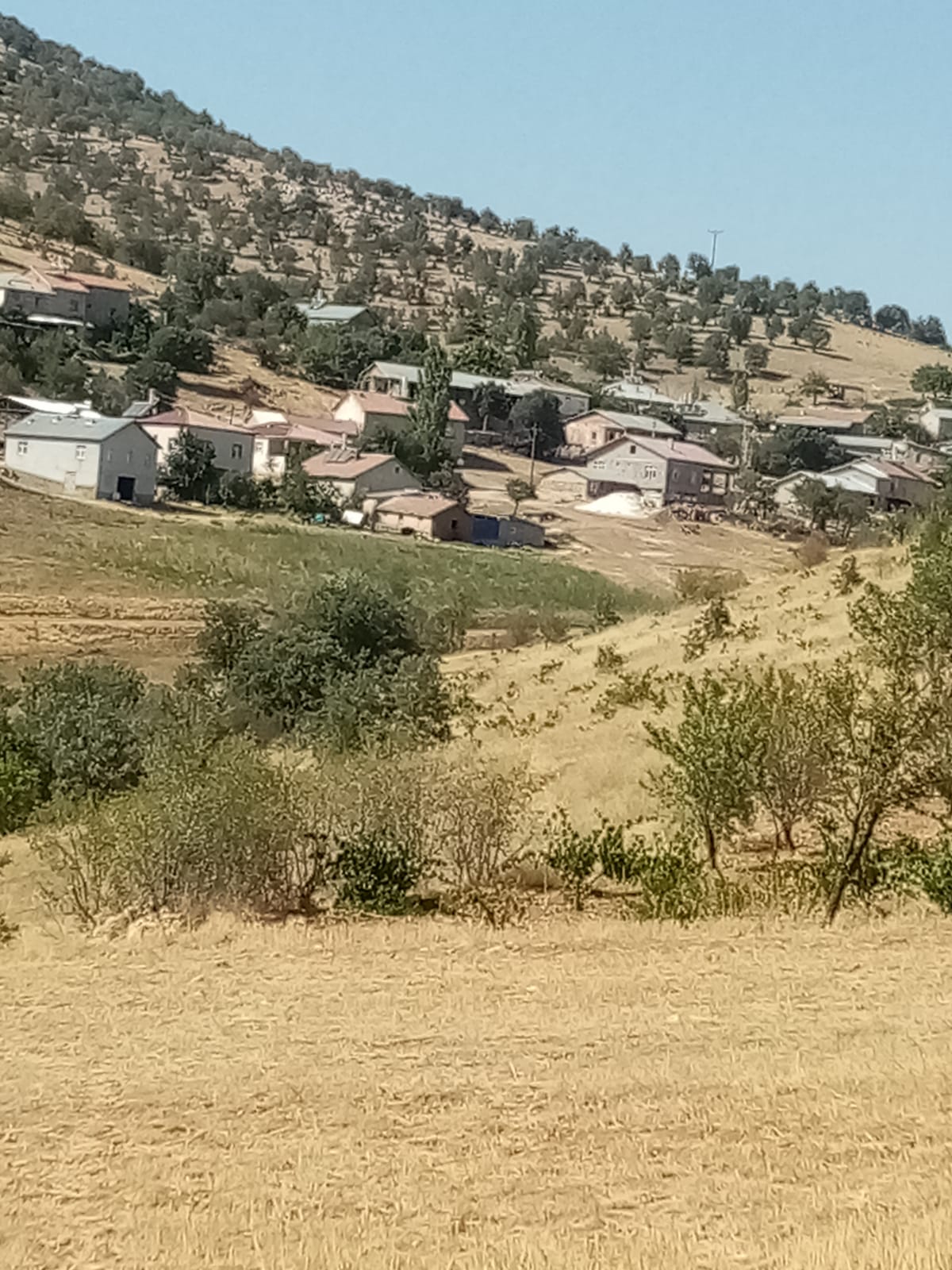 Fotoğraf