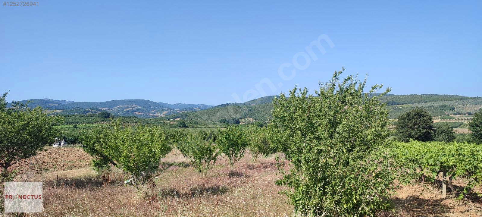 İlan Fotoğrafı