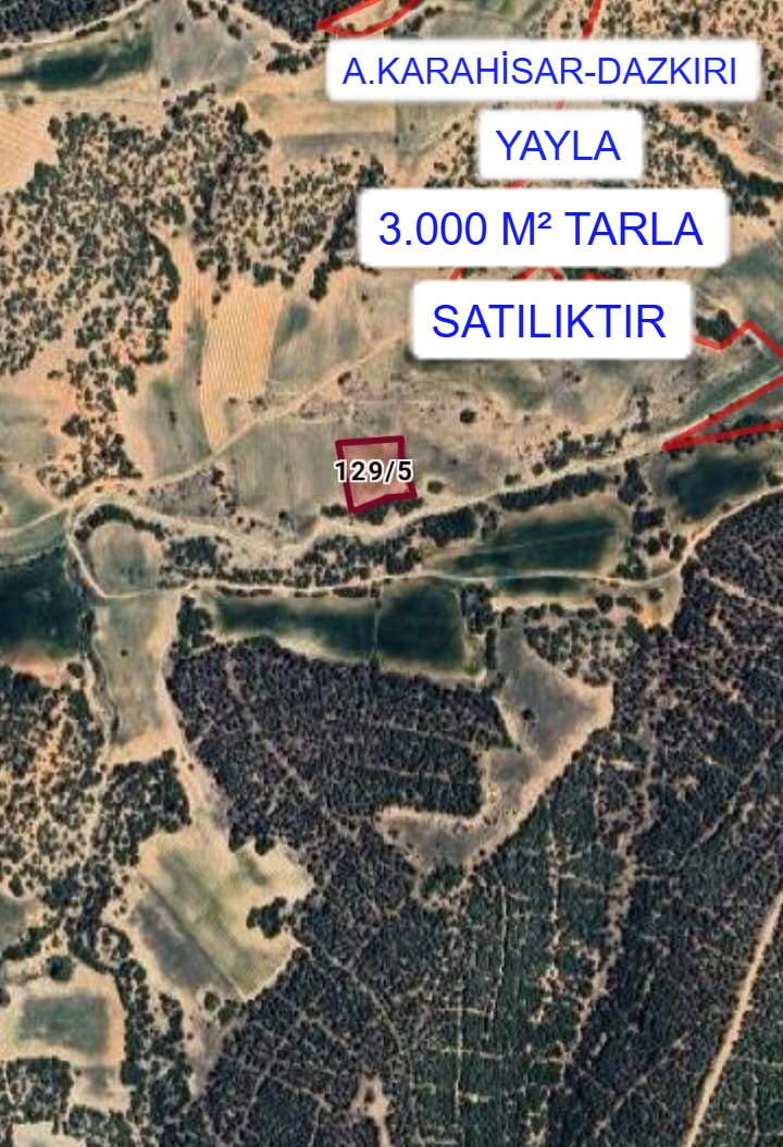 Fotoğraf