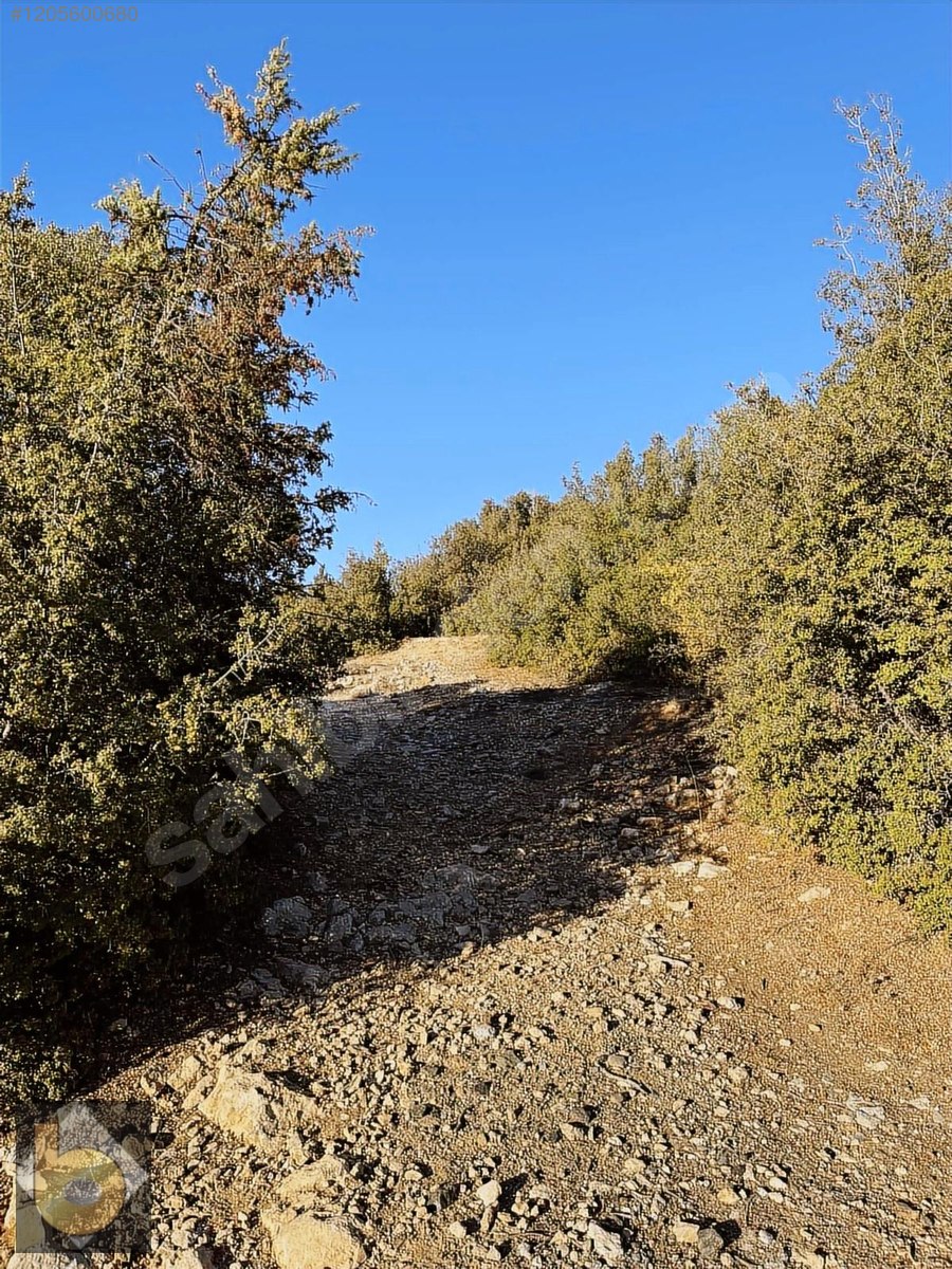 İlan Fotoğrafı