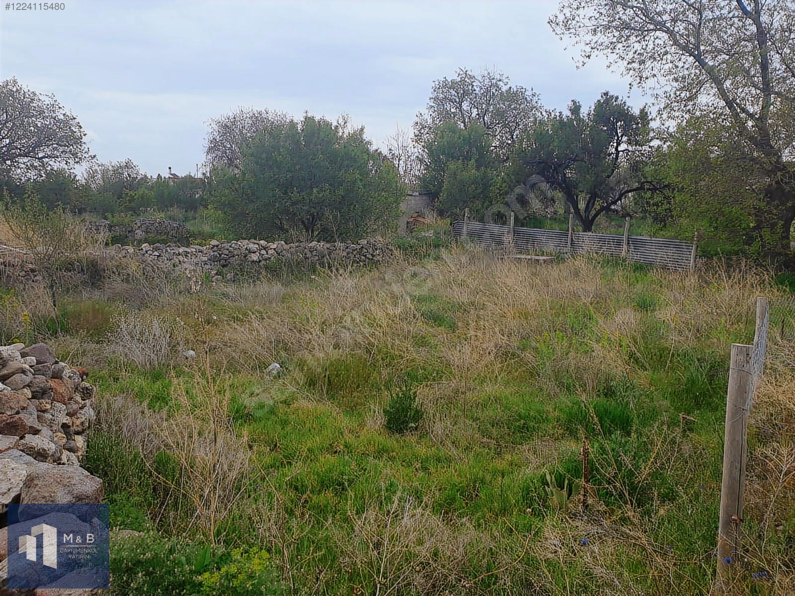 Fotoğraf