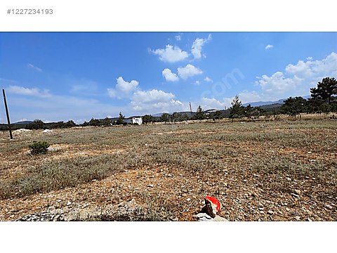 İlan Fotoğrafı