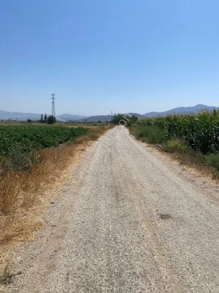 İzmir Torbalı Şehitlere 45 Dönüm Tarla Satılık