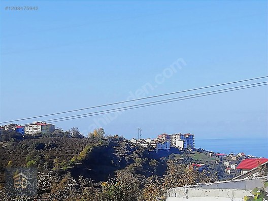 Fotoğraf