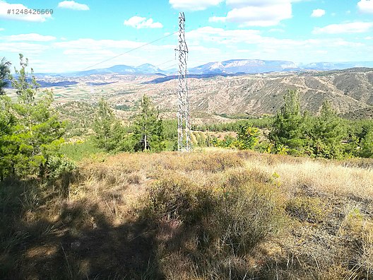İlan Fotoğrafı