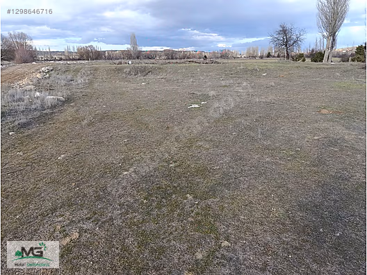 KÜTAHYA ALTINTAŞ PINARCIK KÖYÜ KELEPİR ARAZİ TARLA ARSA