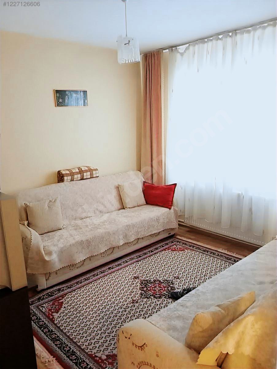 Fotoğraf