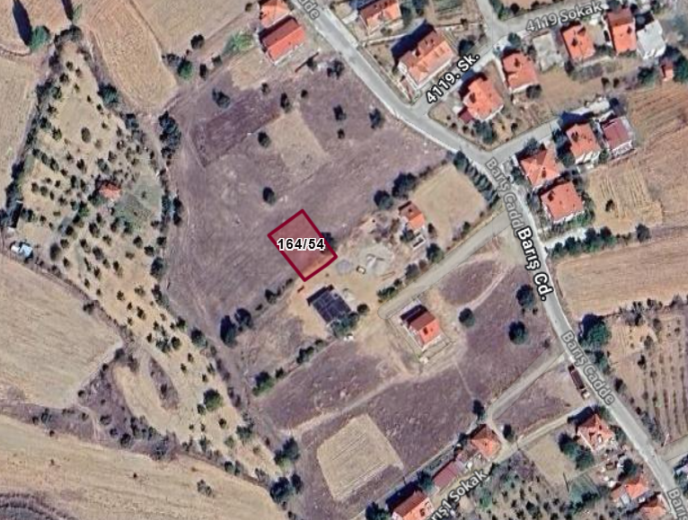 Fotoğraf