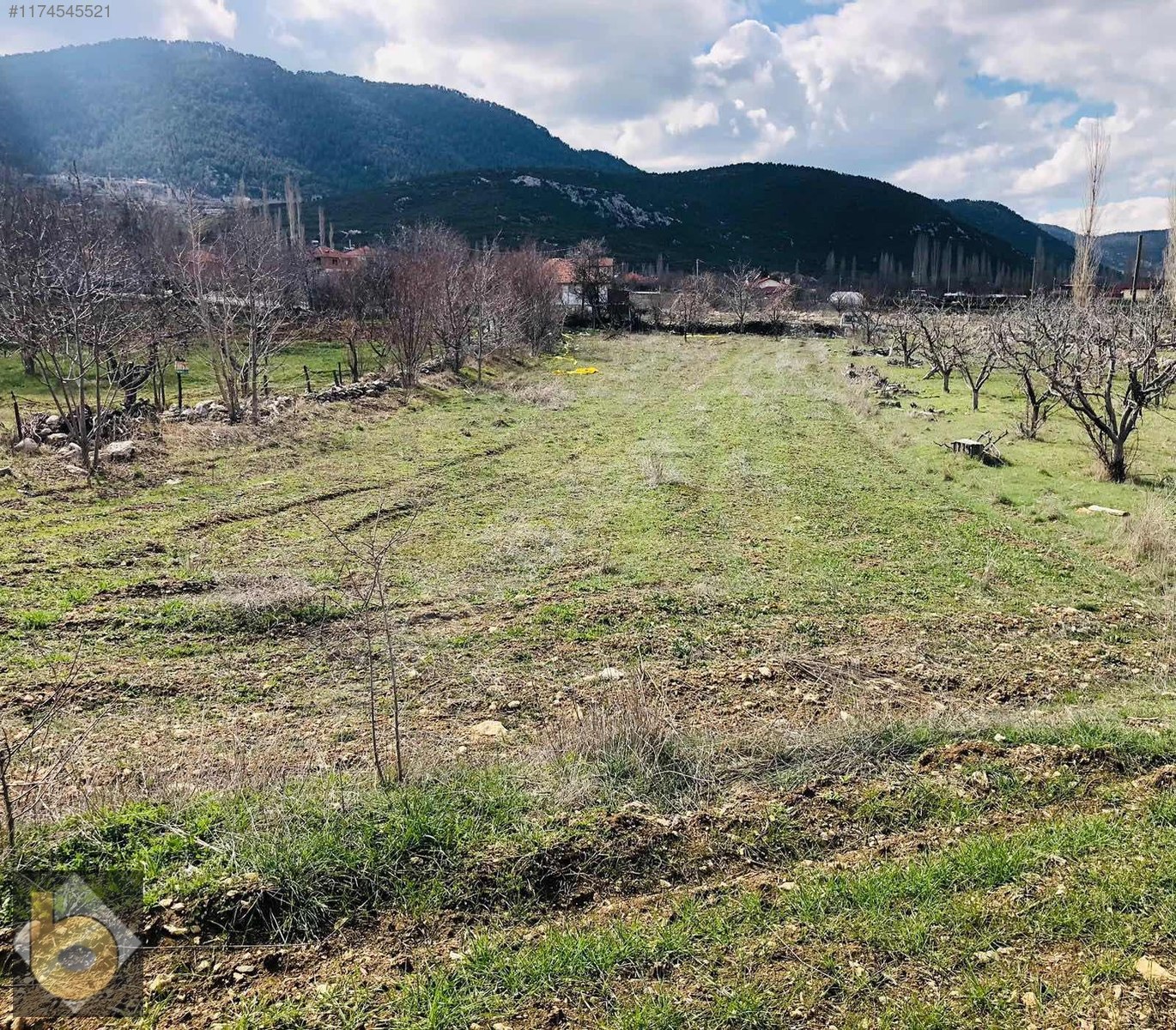 İlan Fotoğrafı
