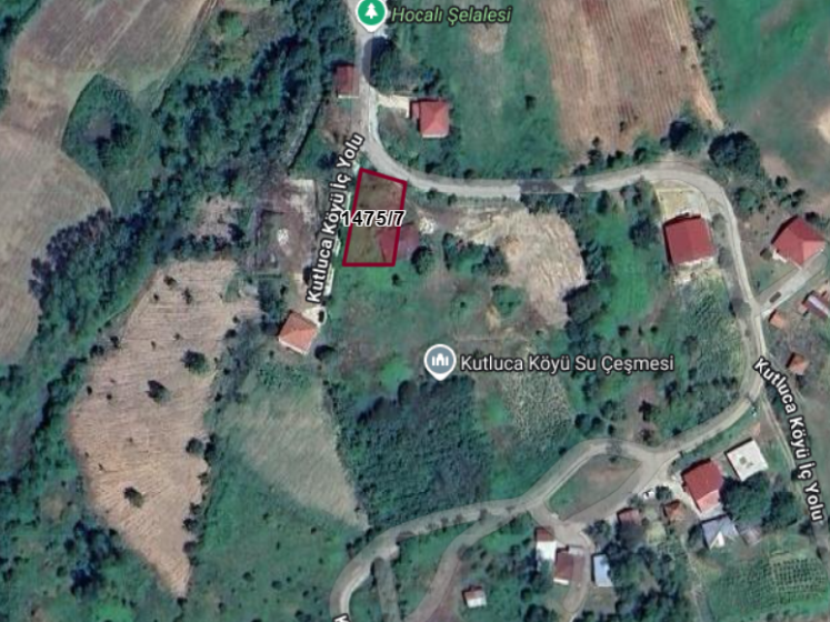 Fotoğraf