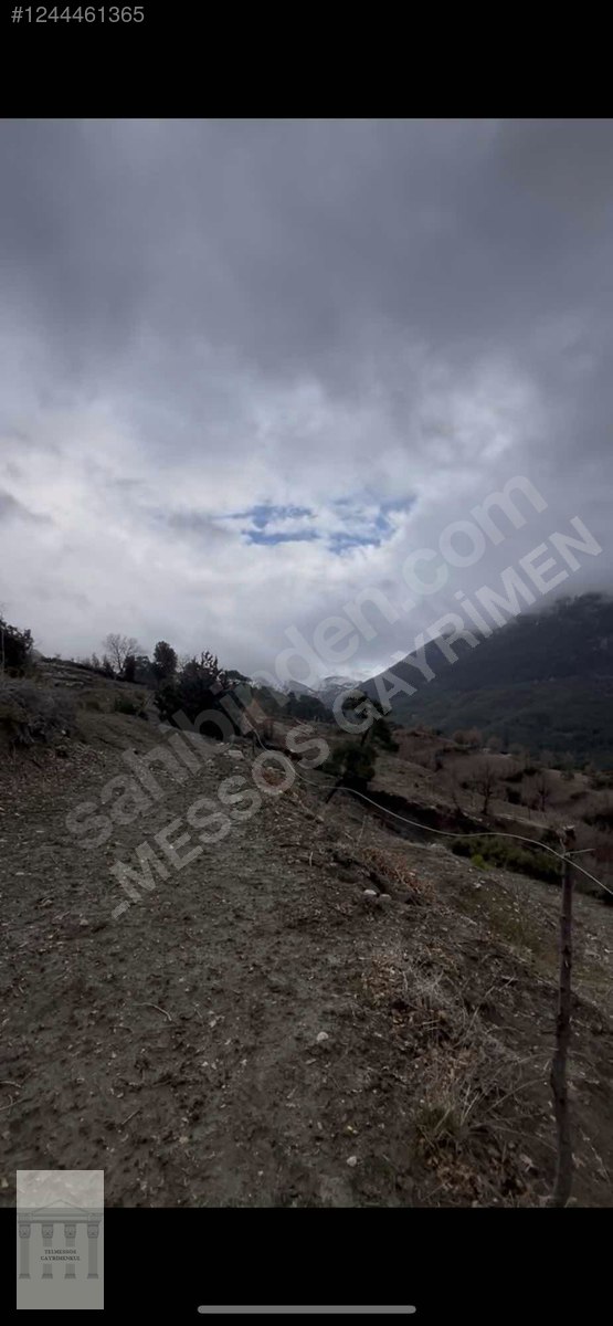 İlan Fotoğrafı