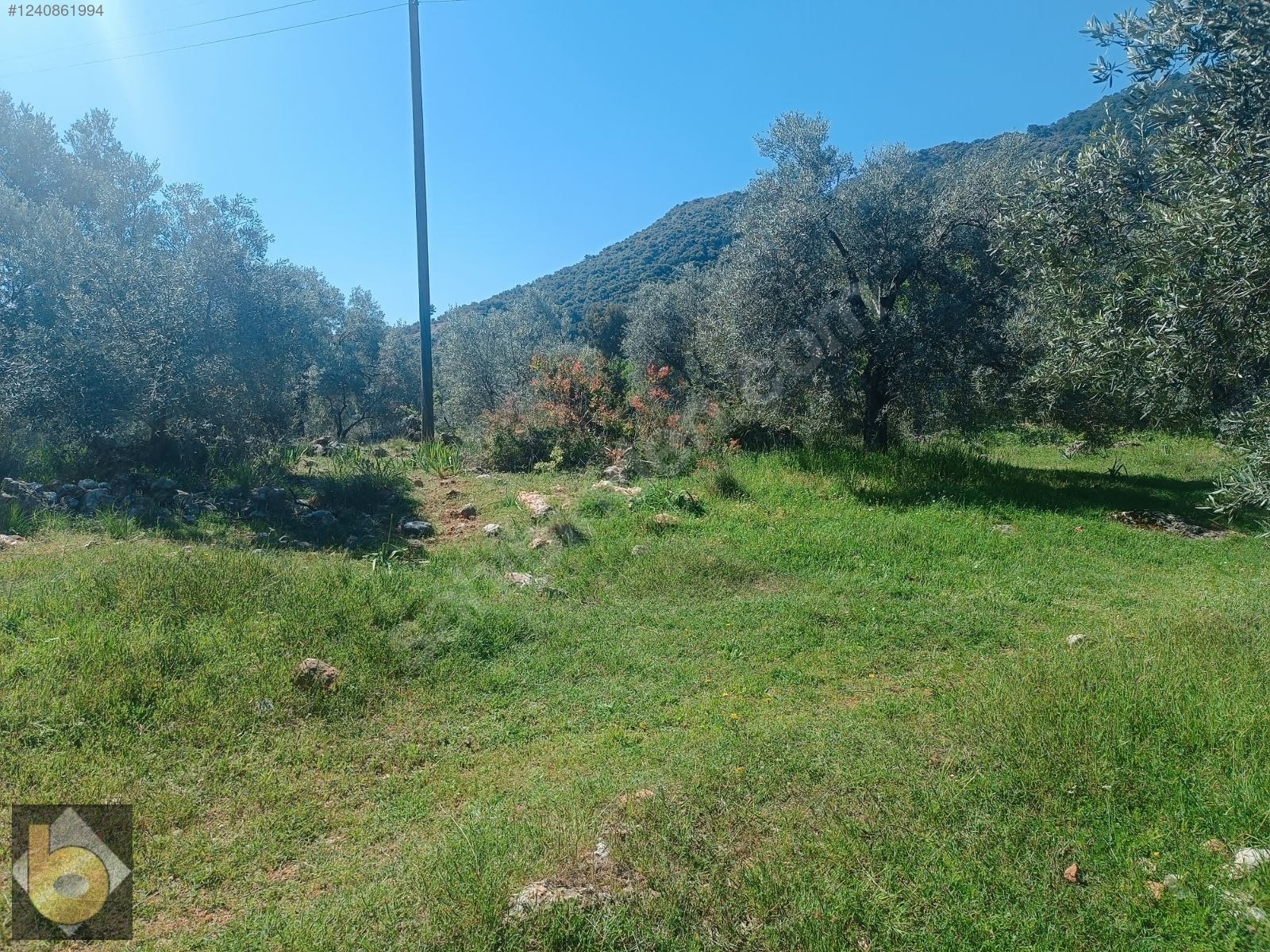 İlan Fotoğrafı