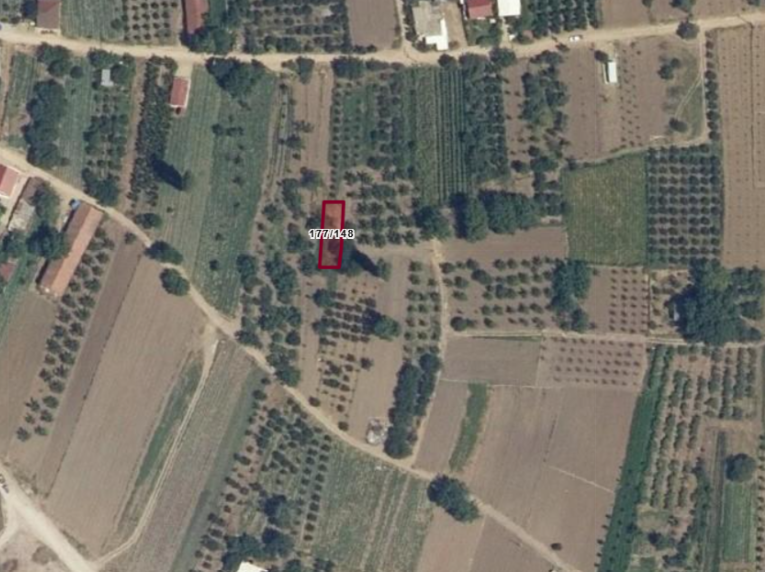 Fotoğraf