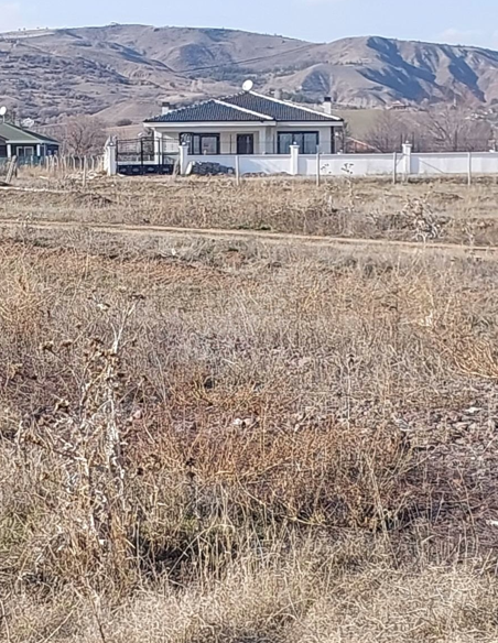 Fotoğraf