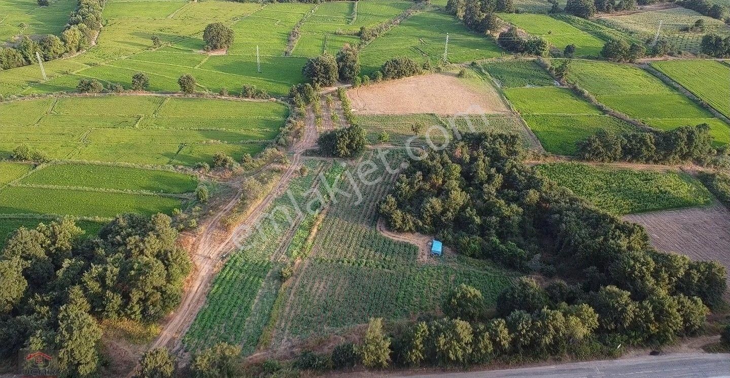 İlan Fotoğrafı